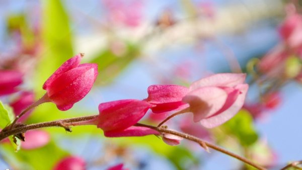 Весна апрель