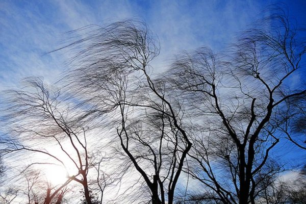 Сильный ветер