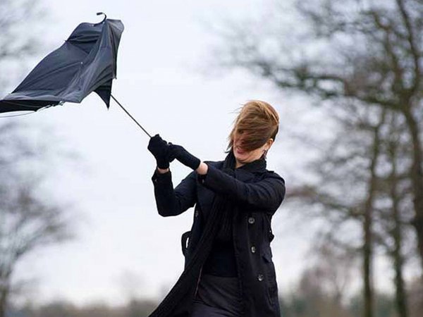 Штормовое предупреждение