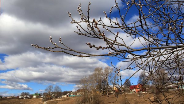 Весенний апрельский день