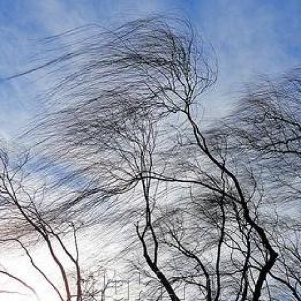 Порыв ветра картинка для детей