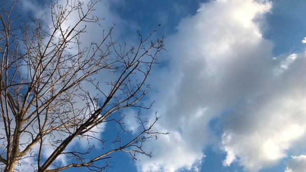 Ясная, без осадков.