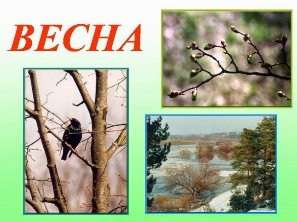 Презентация на тему Веста