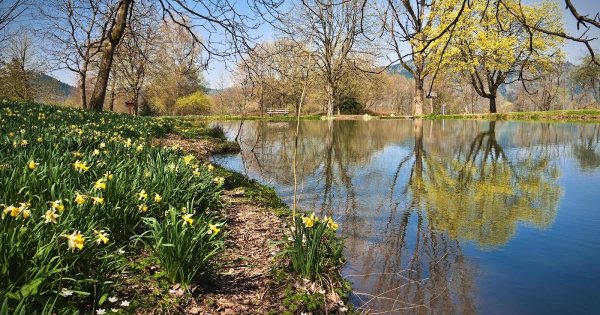 Апрель природа