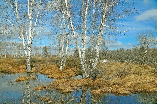 Весна в России