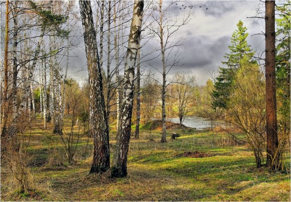 Ранняя Весна Подмосковье