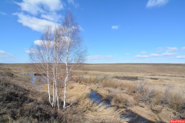Степь ранней весной