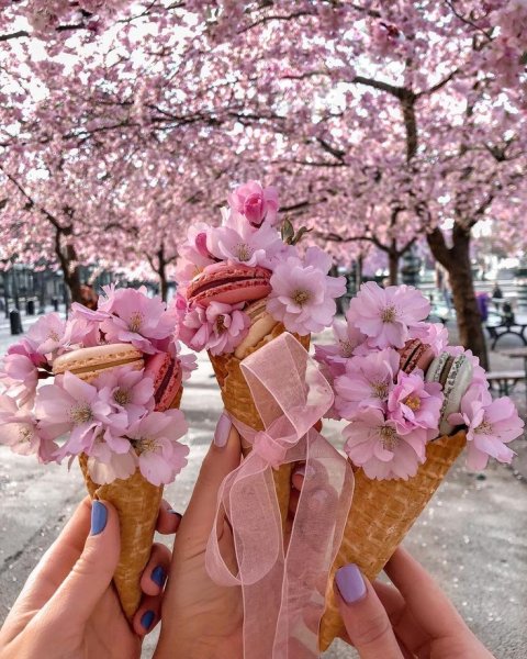 Учись у весны Расцветай