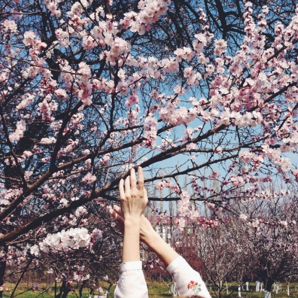 Весна для инстаграма