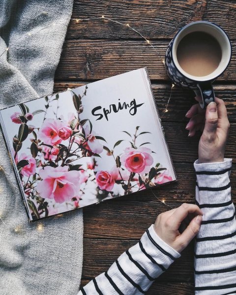 Иллюстрация инстаграма