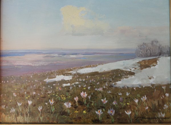 Весна в степи