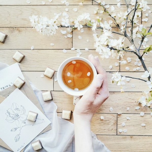 Весенний флетлей