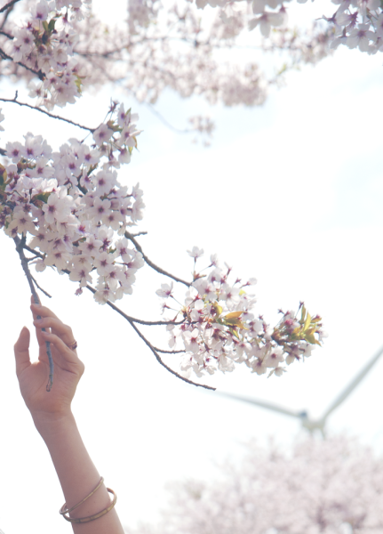 Весенняя Эстетика