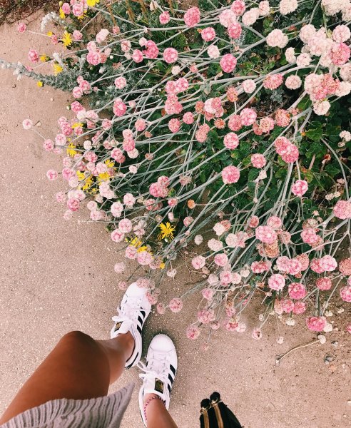 Эстетика весенних цветов