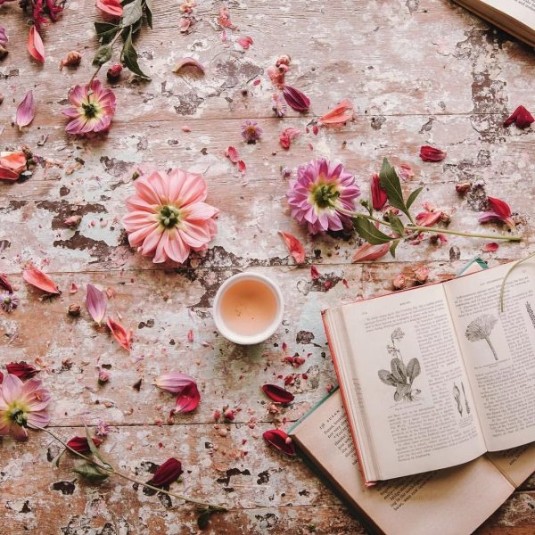 Красивые раскладки с цветами