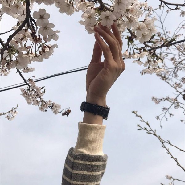 Весна Эстетика