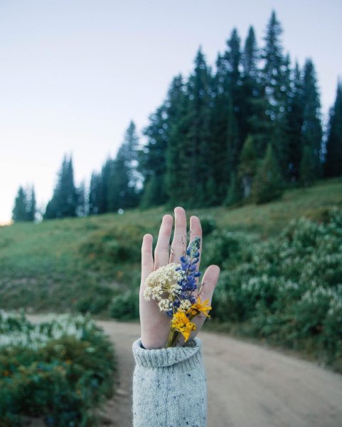 Руки природа Эстетика