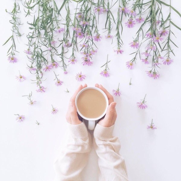 Светлая идея