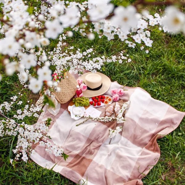 Пикник в цветущем саду