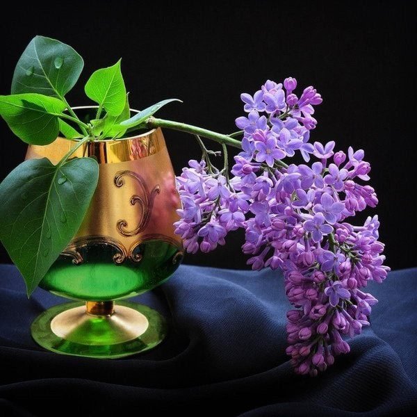 Открытки с сиренью