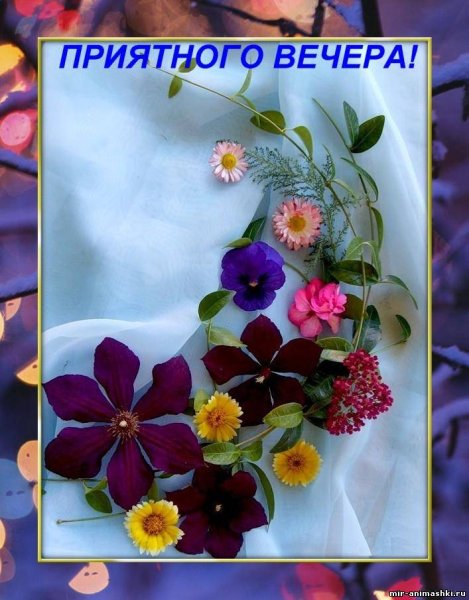 Открытки добрый вечер красивые