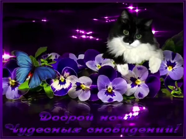 Весенний рассвет