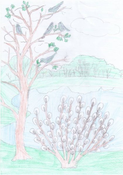 Вена рисунок