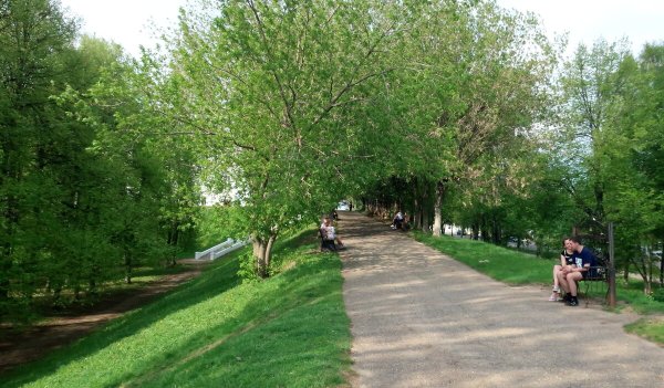 Беседка Островского в Костроме зимой