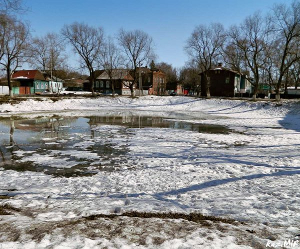 Шаговский пруд Кострома зима