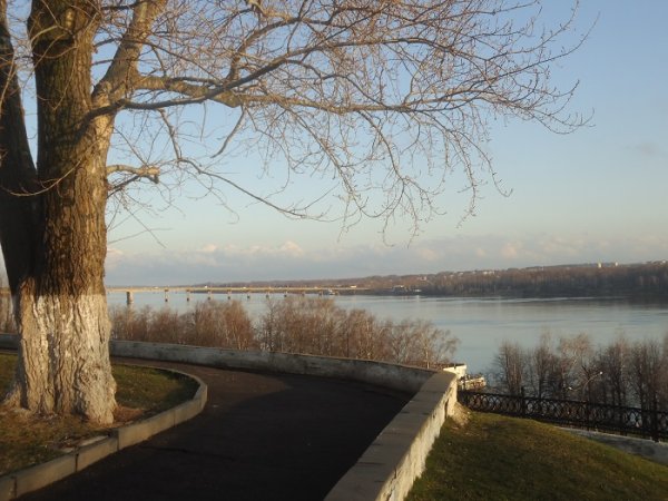 Кострома природа в городе