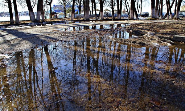 Кострома торговые ряды зимой