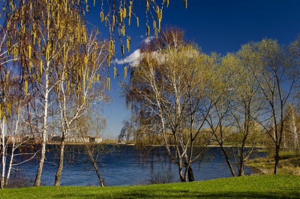 Кострома вид с моста