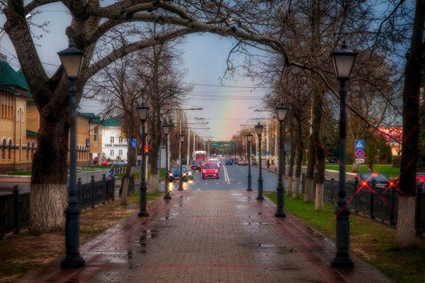 Весна природа в городе