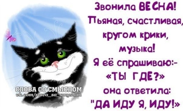Звонила Весна пьяная счастливая картинка