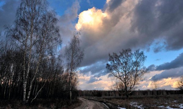 Пасмурная ранняя Весна