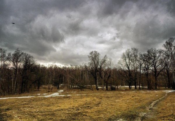 Пасмурный весенний день