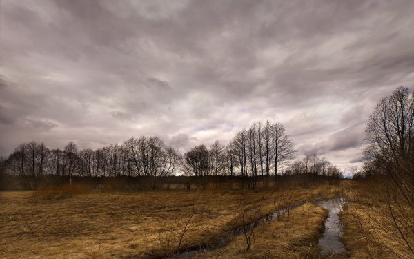 Хмурая осень