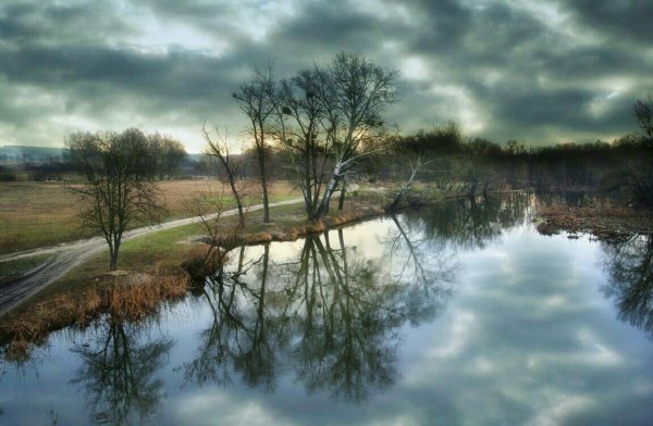 Пасмурная Весна