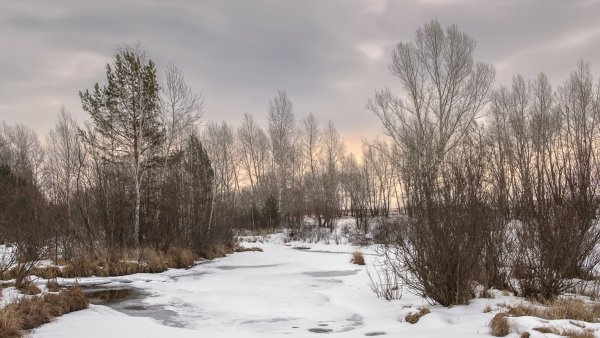 Пасмурный весенний день