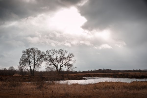 Пейзаж пасмурный день