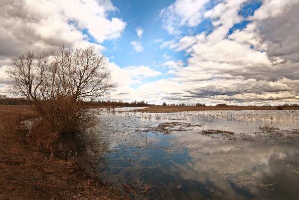 Хмурое небо