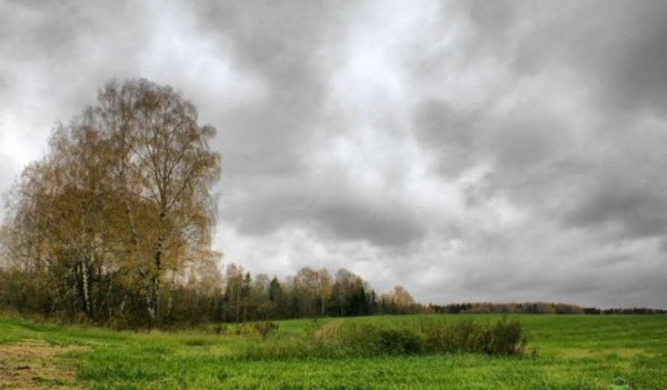 Пасмурная зима