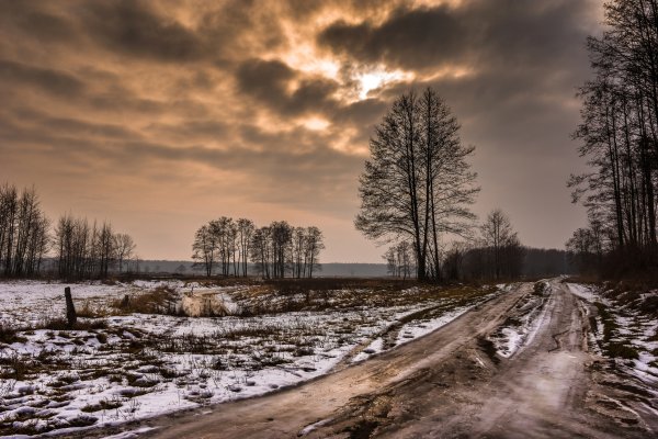 Весенняя гроза