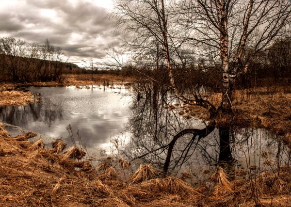 Пасмурный день весной