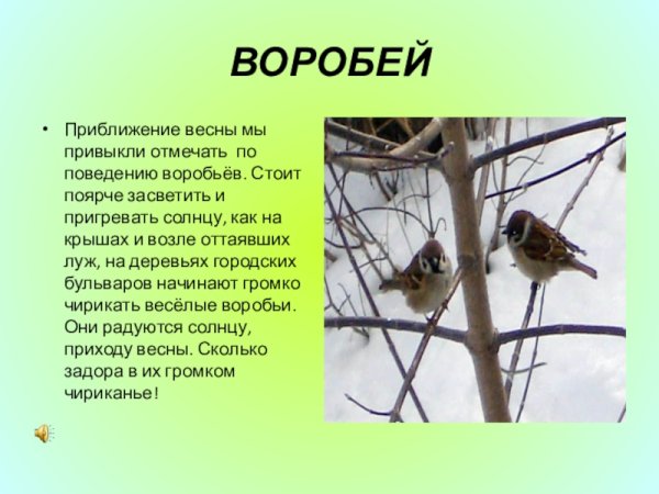 Весенние птицы 2 класс окружающий мир
