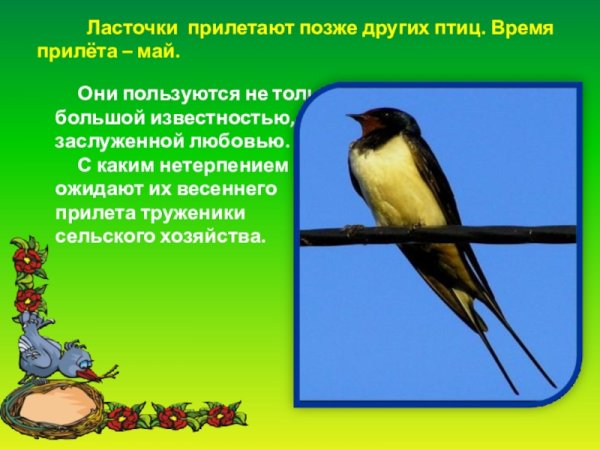 Пальчиковая гимнастика перелетные птицы