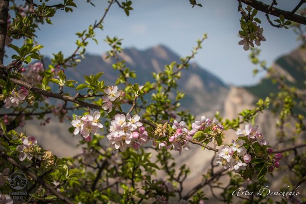 Дагестан vesnoy