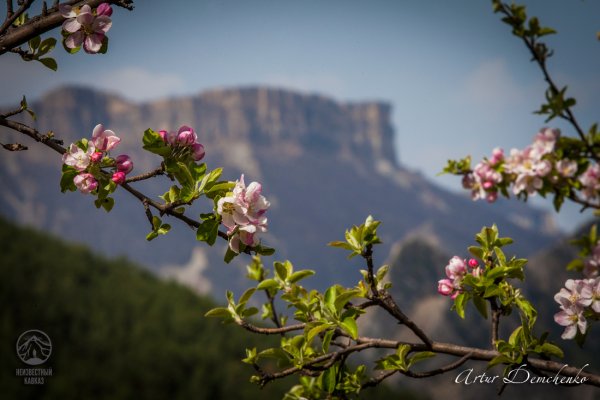 Весенний Дагестан