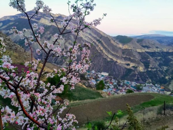 Горы Дагестана весной