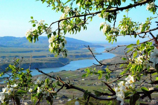 Дагестан природа Весна